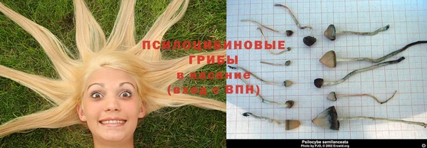 jwh Пролетарск